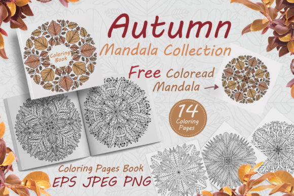 Download Autumn Mandalas Drawn from Leaves - Man Collection